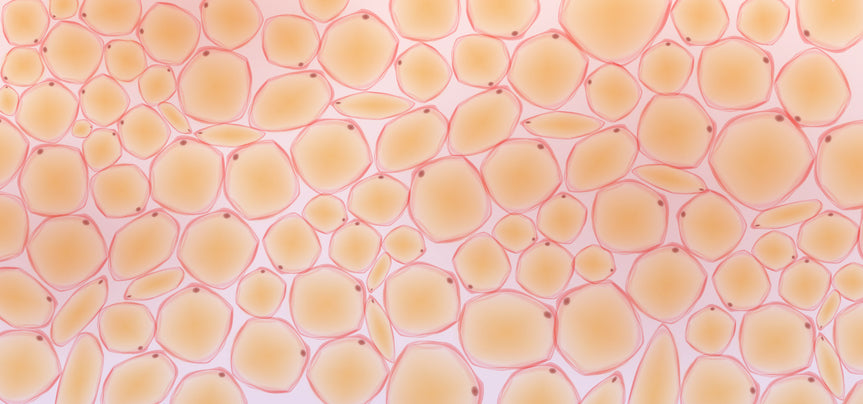 [DERMATUS] Microbiota da pele: O que você precisa saber